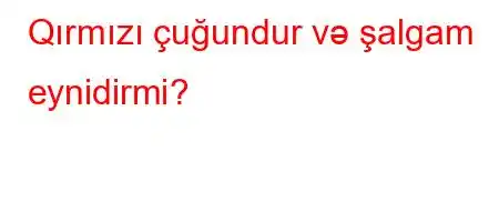 Qırmızı çuğundur və şalgam eynidirmi?