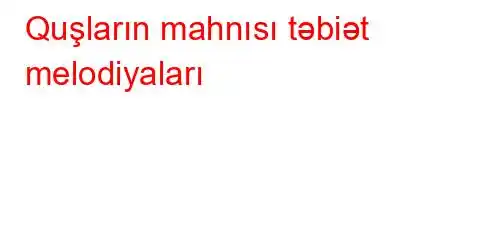 Quşların mahnısı təbiət melodiyaları