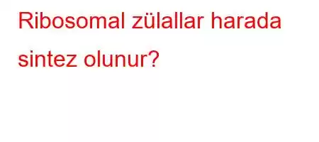 Ribosomal zülallar harada sintez olunur?