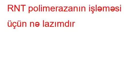 RNT polimerazanın işləməsi üçün nə lazımdır