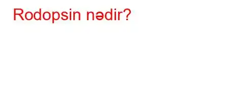 Rodopsin nədir?