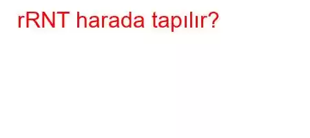 rRNT harada tapılır?