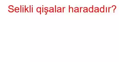 Selikli qişalar haradadır?