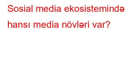 Sosial media ekosistemində hansı media növləri var?