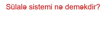 Sülalə sistemi nə deməkdir?