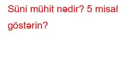 Süni mühit nədir? 5 misal göstərin?