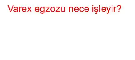 Varex egzozu necə işləyir?