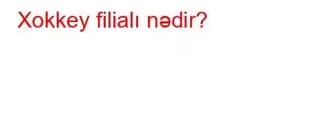 Xokkey filialı nədir?