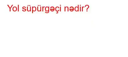 Yol süpürgəçi nədir?