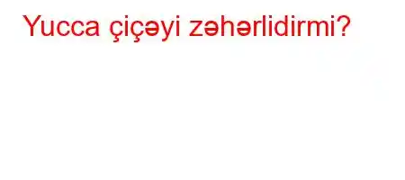 Yucca çiçəyi zəhərlidirmi?