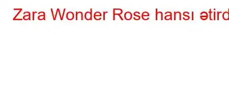 Zara Wonder Rose hansı ətirdir